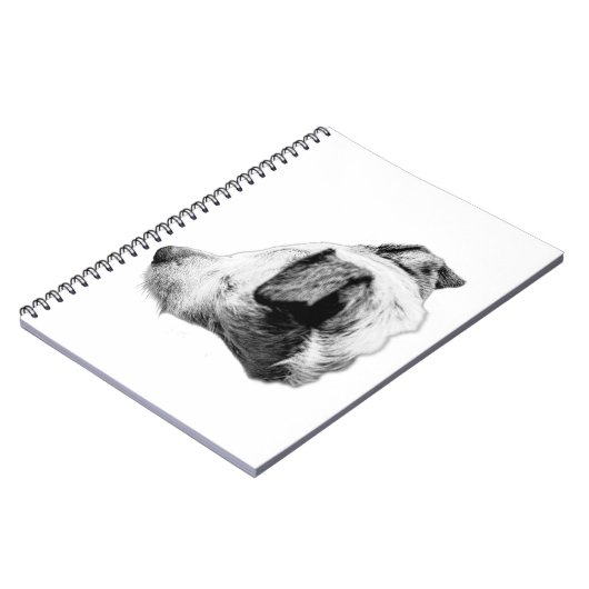 Carnet Fidélité dans le profil (Côté gauche)