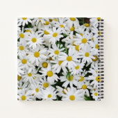 Carnet Field of Daisies Photo (Dos)