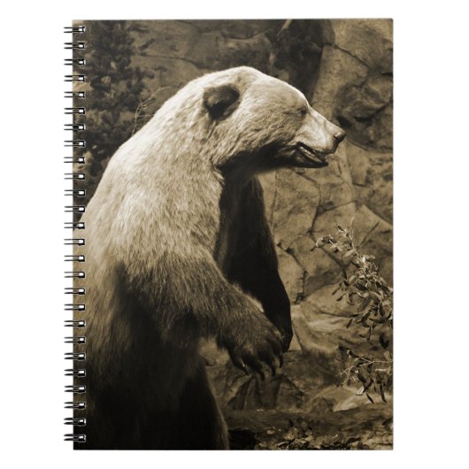 Carnet Fière Ours (Devant)