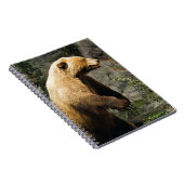 Carnet Fière Ours (Côté Droit)