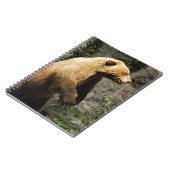 Carnet Fière Ours (Côté gauche)