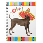 Carnet Fiesta Xolo (Devant)