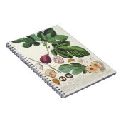 Carnet Figue, gravée par 1704-67) plats de Johann Jakob (Côté Droit)