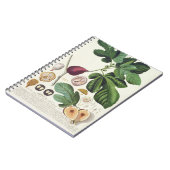 Carnet Figue, gravée par 1704-67) plats de Johann Jakob (Côté gauche)