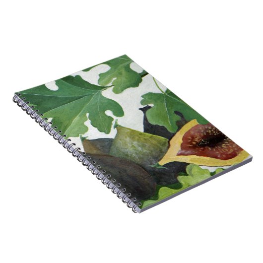 Carnet Figues 2013 (Côté Droit)