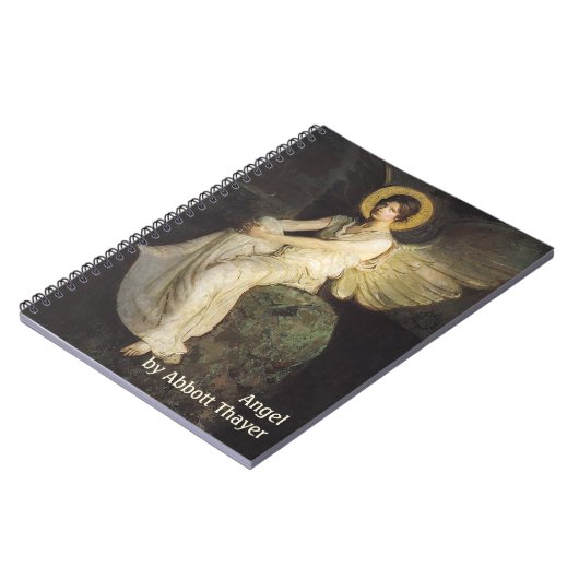 Carnet Figure ailée assise sur un rocher par Abbott Thaye (Côté gauche)