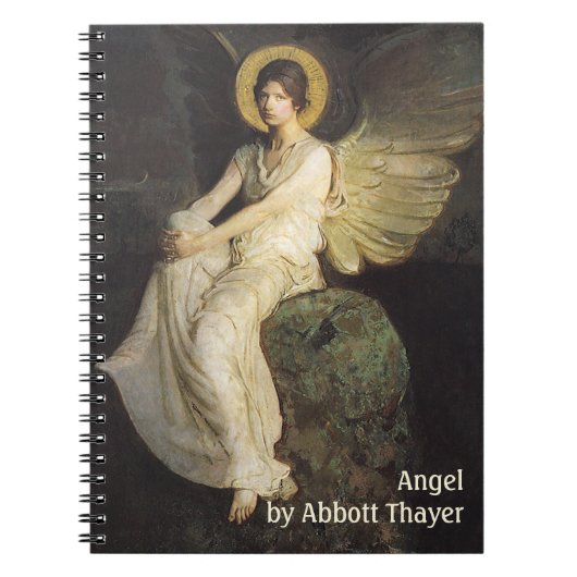 Carnet Figure ailée assise sur un rocher par Abbott Thaye (Devant)