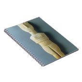 Carnet Figurine femelle, Cycladic tôt, c.2800-2300 AVANT (Côté Droit)