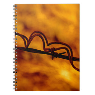 Carnet Fil à Barbe Orangée Jaune