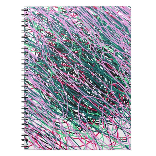 Carnet Fil spastique (Devant)