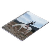 Carnet Fille à cheval (Côté gauche)