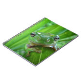 Carnet Fin de regard mignonne de grenouille d'arbre (Côté gauche)