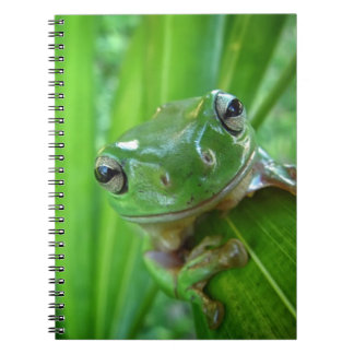 Carnet Fin de regard mignonne de grenouille d'arbre
