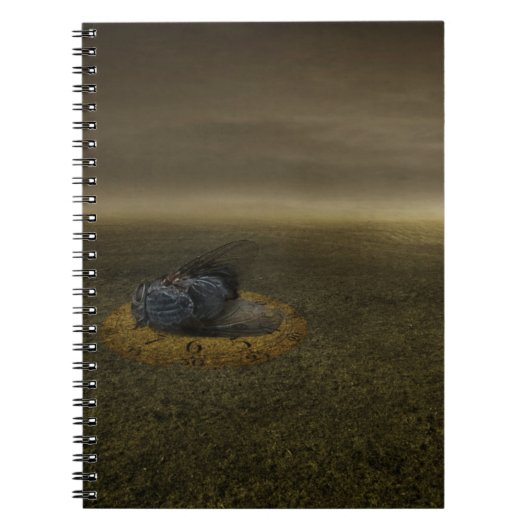 Carnet Fin d'un but 2013 (Devant)