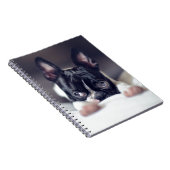 Carnet Fina Boston Terrier (Côté Droit)