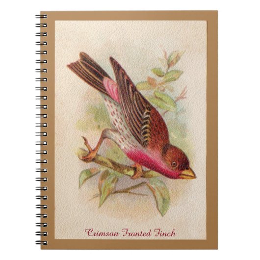 Carnet Finche frontale Crimson (Devant)