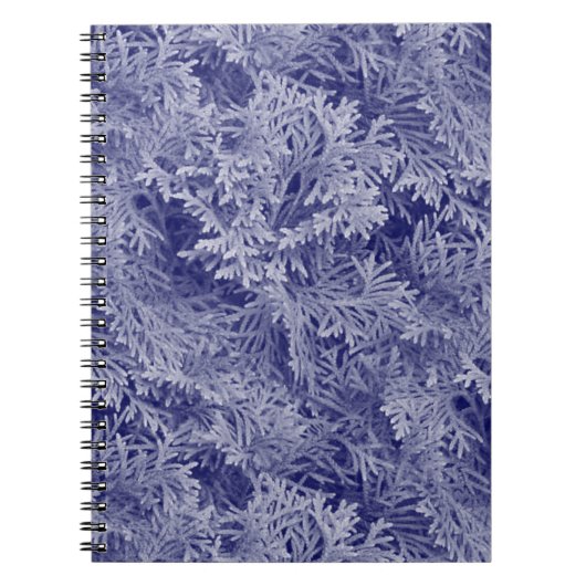 Carnet Fir bleu (Devant)