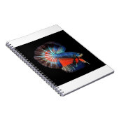 Carnet fish-5115102_1280 (Côté Droit)