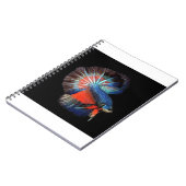 Carnet fish-5115102_1280 (Côté gauche)