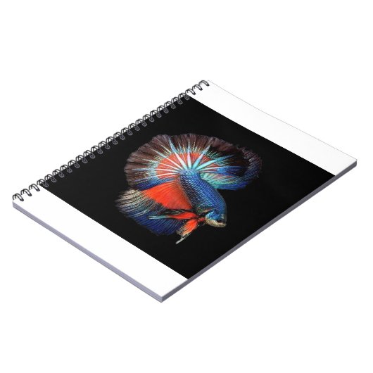 Carnet fish-5115102_1280 (Côté gauche)