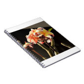 Carnet Fitna (Frangipani) (Côté Droit)