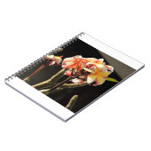 Carnet Fitna (Frangipani) (Côté gauche)