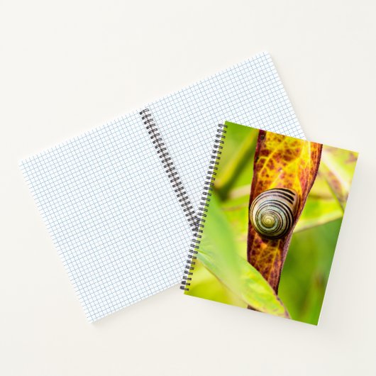 Carnet fixation calme (Intérieur)