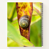 Carnet fixation calme (Dos)