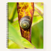 Carnet fixation calme (Devant)