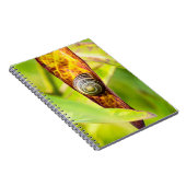 Carnet fixation calme (Côté Droit)