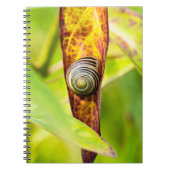 Carnet fixation calme (Devant)