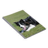 Carnet Fixation de border collie (Côté Droit)