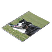 Carnet Fixation de border collie (Côté gauche)