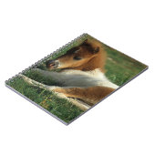 Carnet Fixation miniature de poulain (Côté gauche)