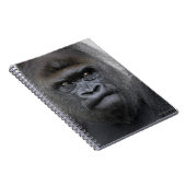 Carnet Flachlandgorilla, Gorilla gorilla, (Côté Droit)