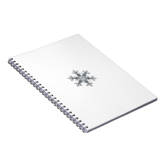 Carnet Flacon de neige (Côté Droit)
