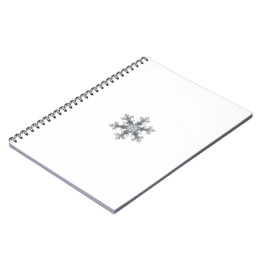 Carnet Flacon de neige (Côté gauche)
