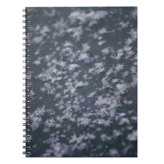 Carnet Flacons de neige (Devant)