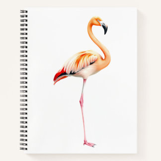 Carnet flamant