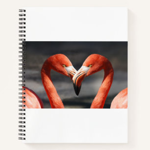 Carnet Flamant de la Saint-Valentin