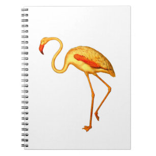 Carnet Flamant rose