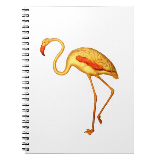 Carnet Flamant rose (Devant)