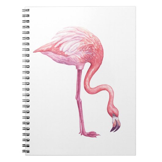 Carnet Flamant rose (Devant)