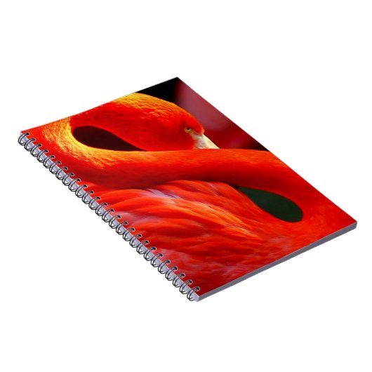 Carnet Flamant rose (Côté Droit)