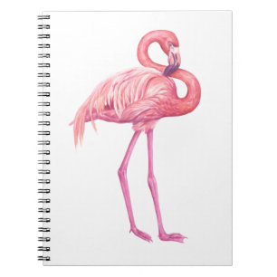 CARNET FLAMANT ROSE 2