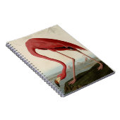 Carnet Flamant rose américain (Côté Droit)