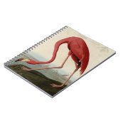 Carnet Flamant rose américain (Côté gauche)