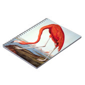 Carnet Flamant rose américain (Côté gauche)