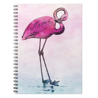 Carnet Flamant rose Aquarelle Vintage Flamants roses rose