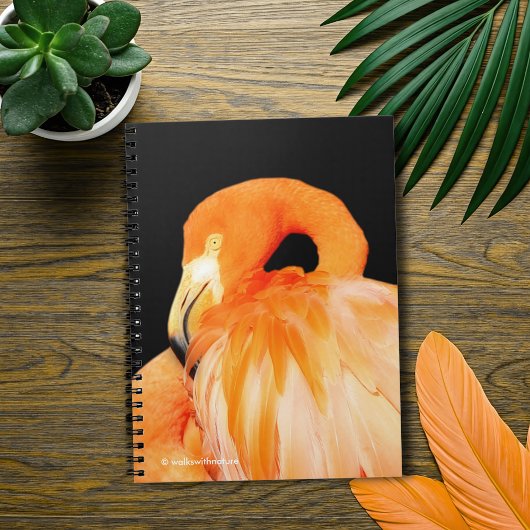 Carnet Flamant rose au soleil d'été